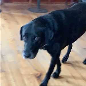 Meet your Posher, William